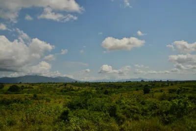 DSC_4393 (Large).JPG